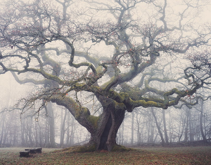 Роскомнадзор предупредил Disney из-за мультфильма c героем-геем, который боится рассказать родителям о своей ориентации