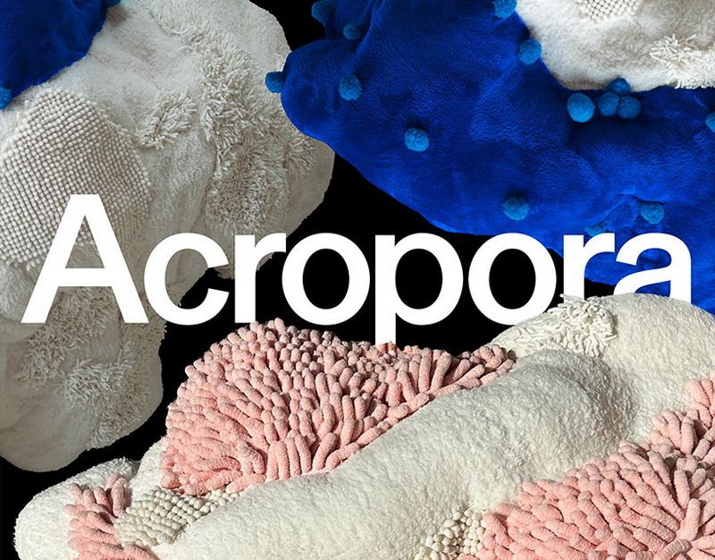 Я то самое зло: Зиннатуллина иронично парировала в споре с Богомоловым о блогерах